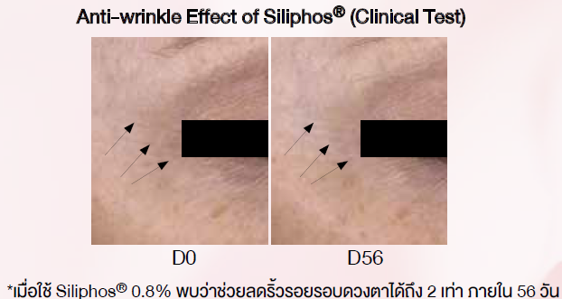 ผลการทดสอบ Siliphos