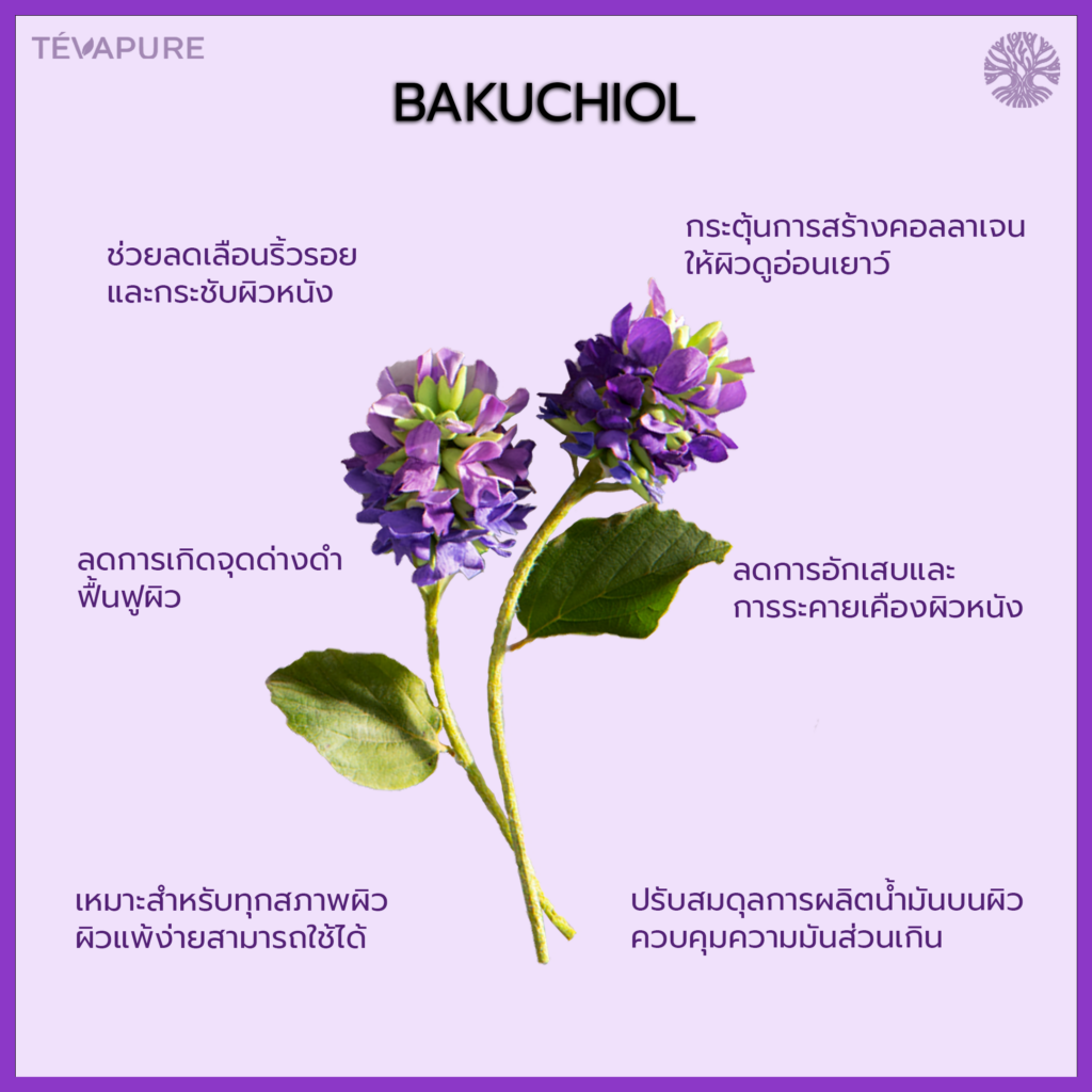 Bakuchiol